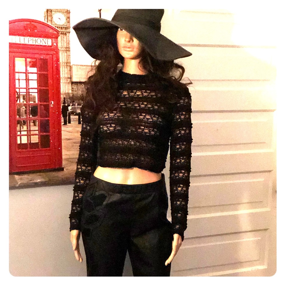 Sheer black crop long sleeve